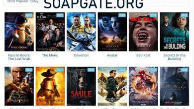 Soapgate
