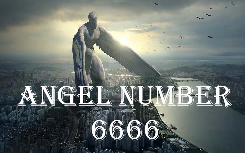 Angel Number 6666 Meaning And Importance