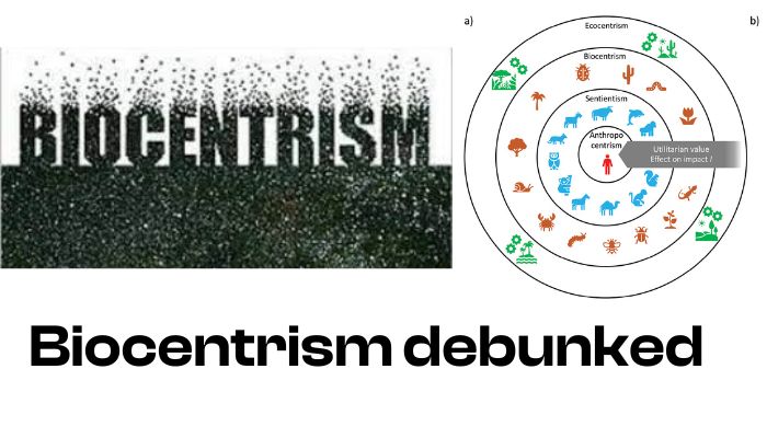 Is Biocentrism Debunked? A Comprehensive guide